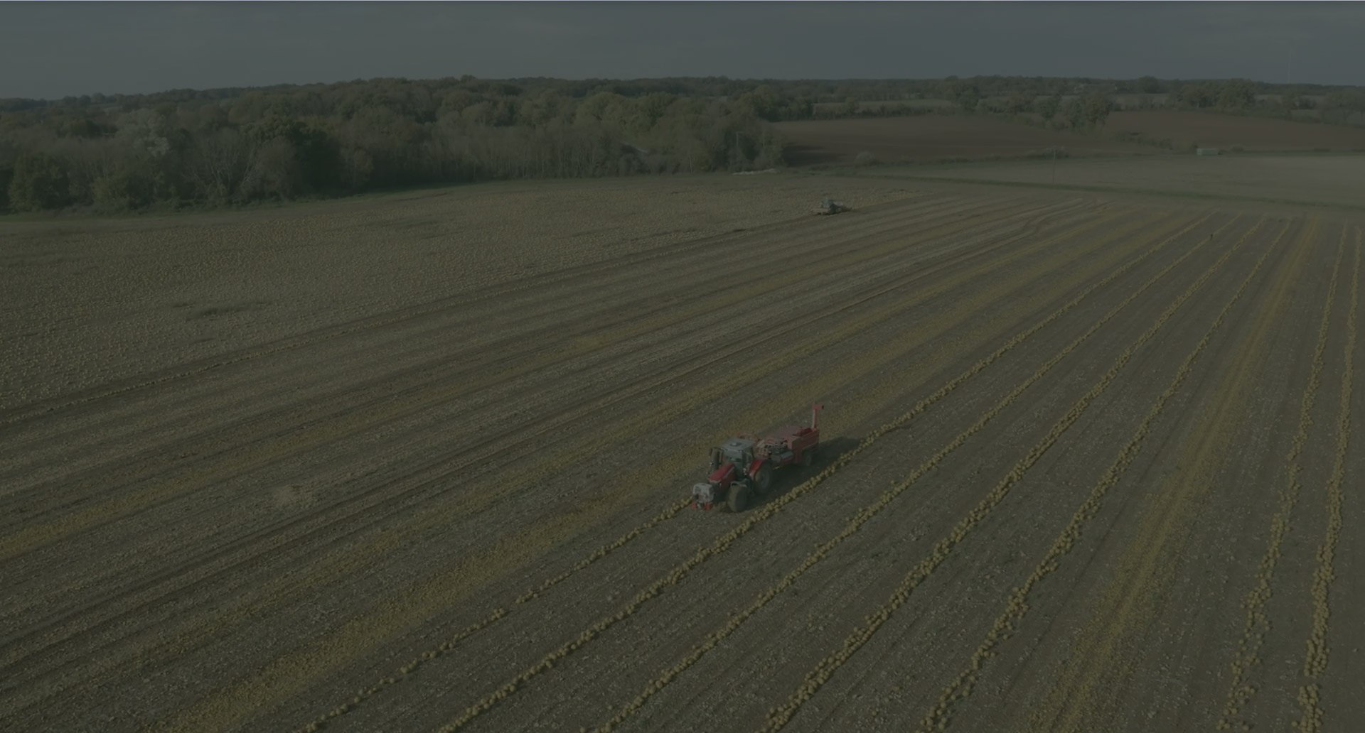 bg-video-graines-de-courges