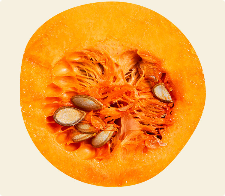 img-graines-de-courges-coupee